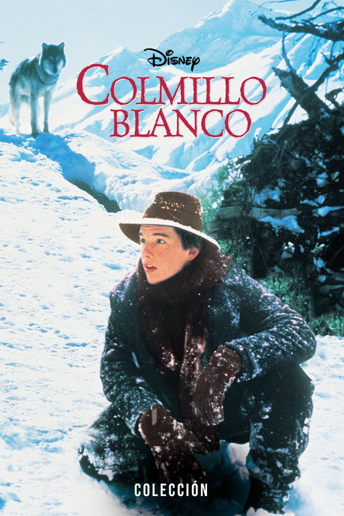 Colmillo blanco