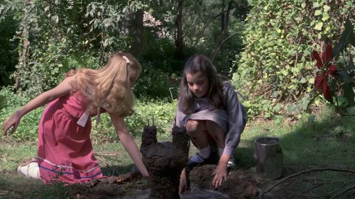 Poison for the Fairies — still 17