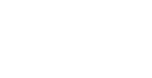 The Promise