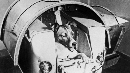 Les premiers cosmonautes - Season 1 Backdrop Blur
