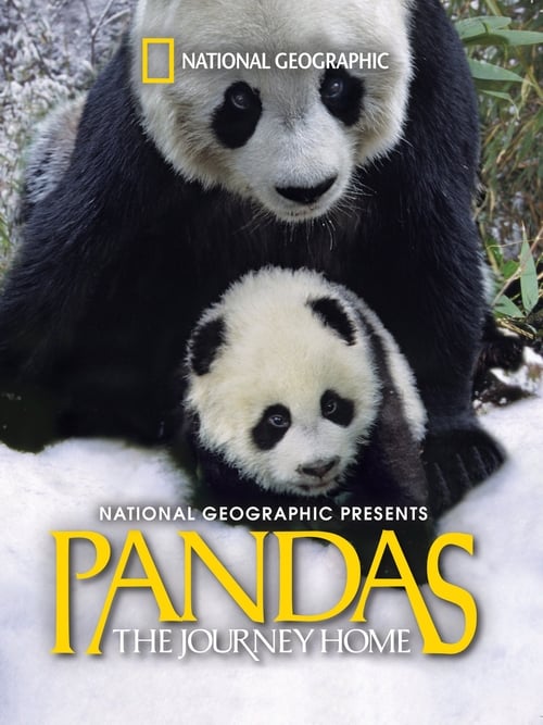 Where to stream Pandas: The Journey Home