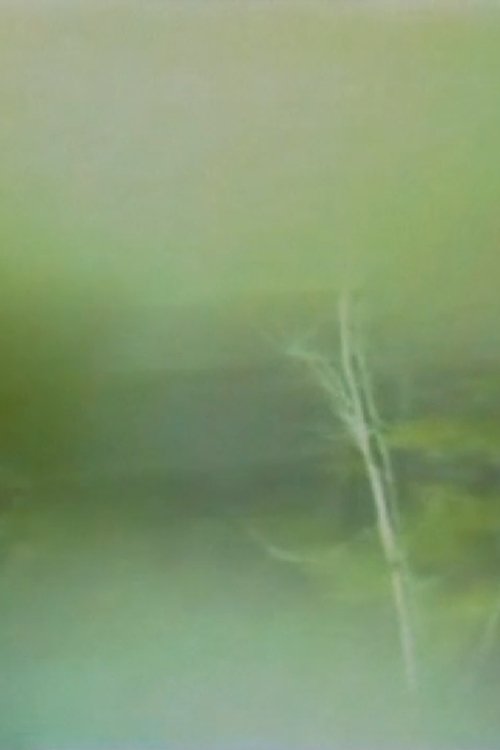 Fragments of an interior space (1980) poster