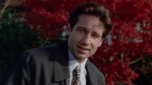 The X-Files: 1×11