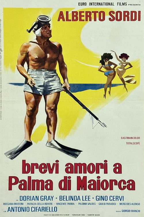 Vacations in Majorca poster