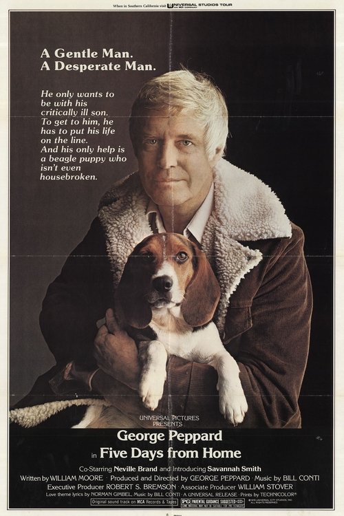Poster 2
