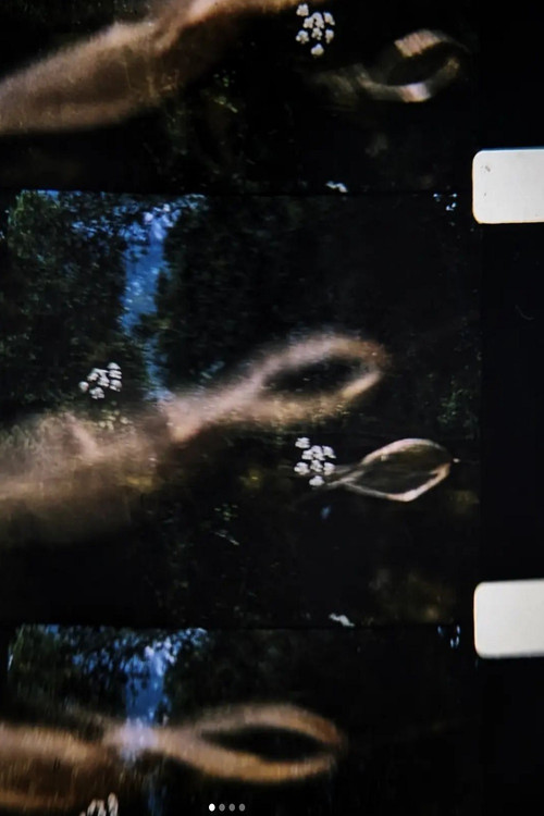 Dreams For Eva - Part 1