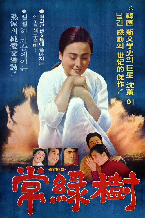 The Evergreen Tree poster
