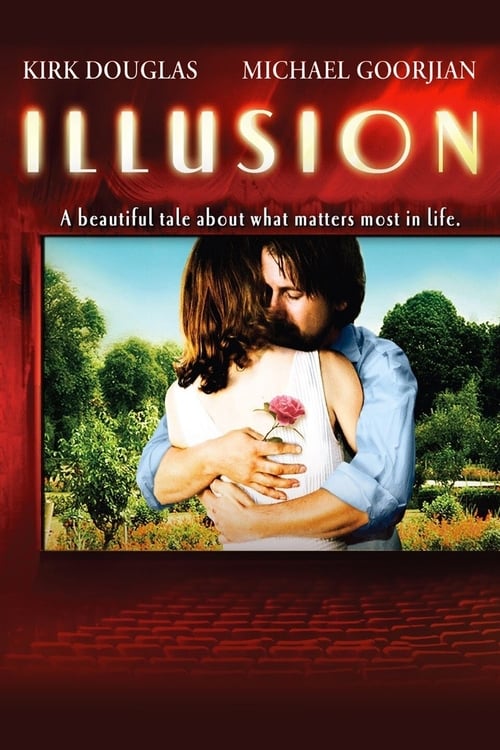 Illusion poster