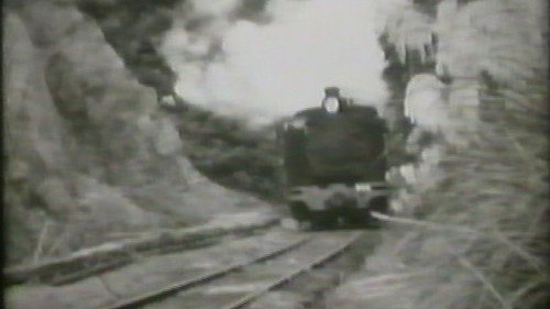 Rimutaka Incline Backdrop Blur