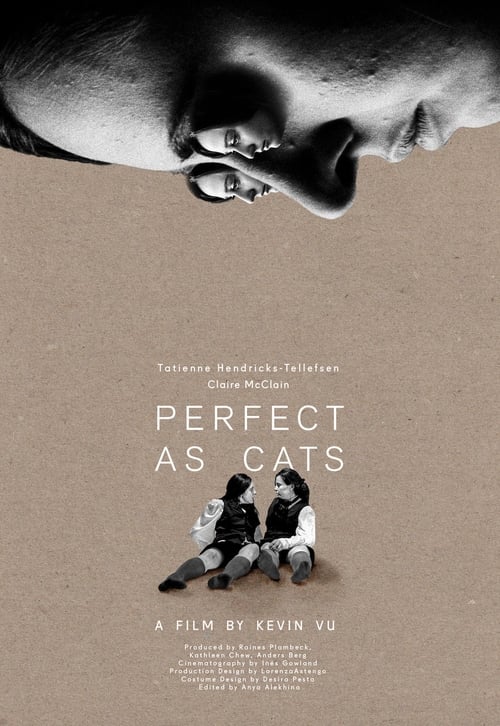 Perfect as Cats (2020) poster
