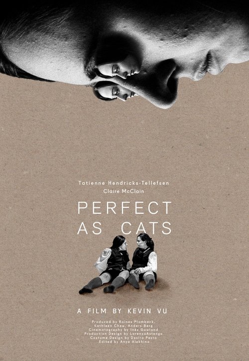 Perfect as Cats (2020) poster