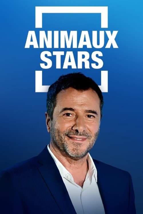 Poster Animaux stars