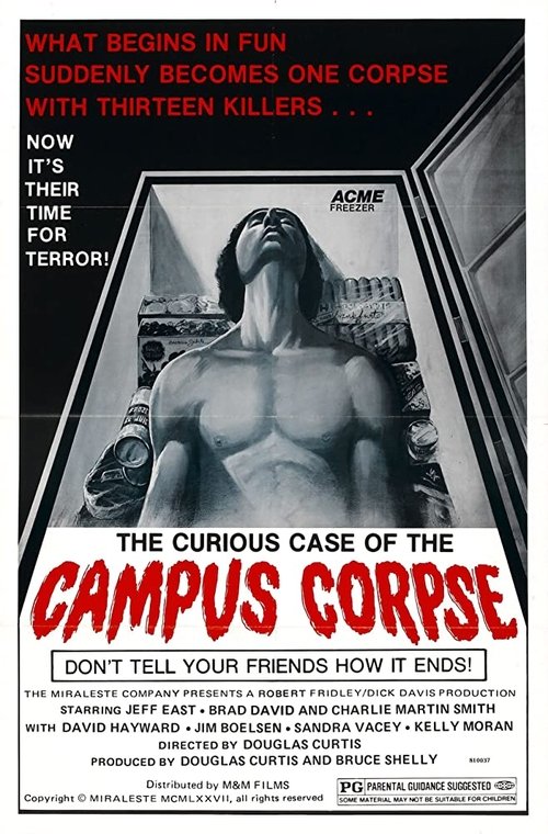 The Hazing poster