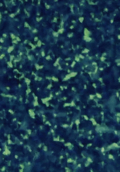 Screen still 2