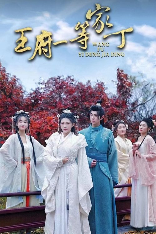 王府一等家丁
