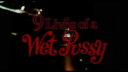 9 Lives of a Wet Pussy