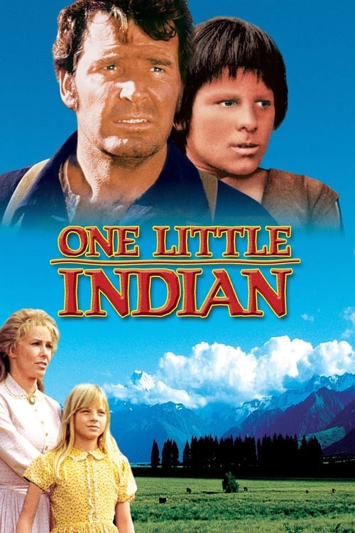Poster do filme O Pequeno Índio