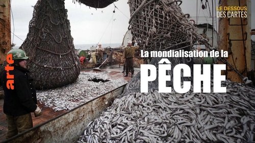 Poissons : une pêche mondialisée