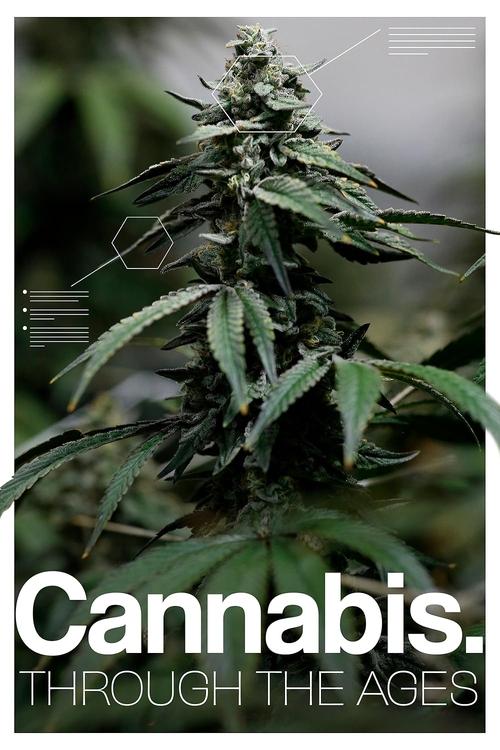 Cannabis: Through the Ages