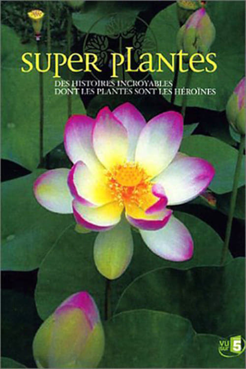Poster Super plantes