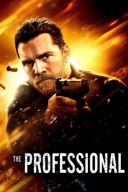 Poster image du film The Professional The Professional