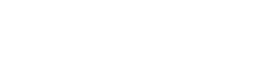 Austin Dillon's Life in the Fast Lane