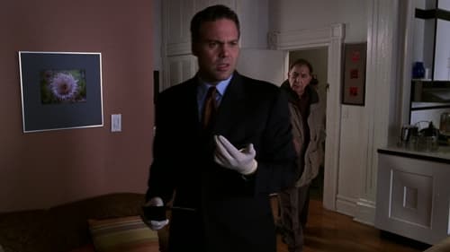 Poster della serie Law & Order: Criminal Intent