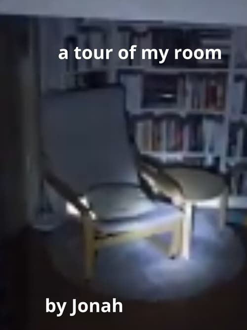 a tour of my room (2024)