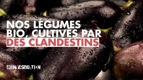 Nos Légumes BIO Cultivés par  Des Clandestins Backdrop Blur