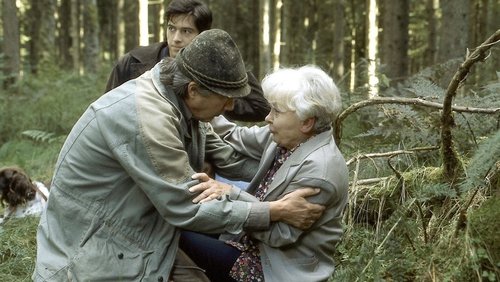 Image de l'épisode 7