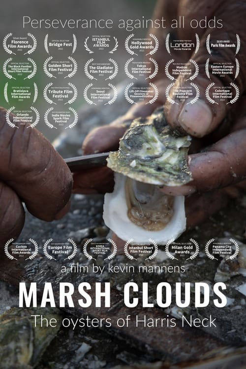 Marsh Clouds: The Oysters of Harris Neck poster