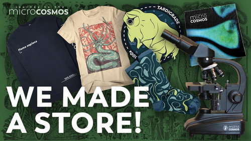 We Made A Store!