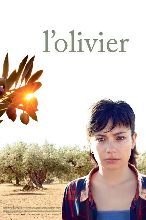 The Olive Tree poster