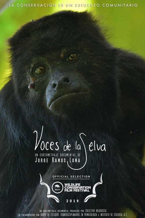 Voces de la Selva movie poster player