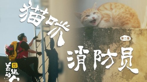 Poster della serie Life with Cats