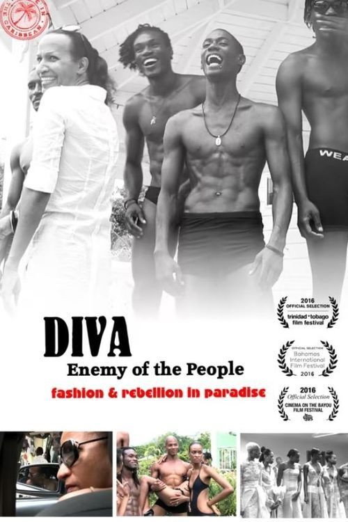 Diva: Enemy of the People poster
