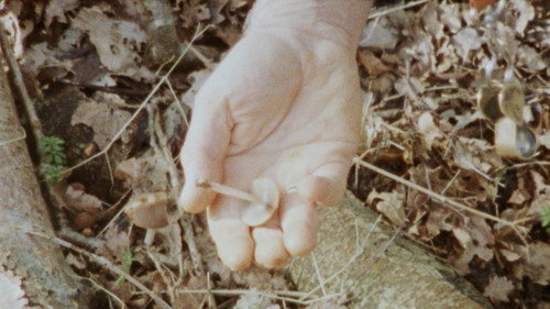 Seen From Here, I Feel Like Belonging