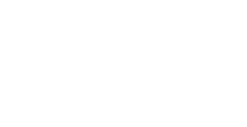 Flip the Strip