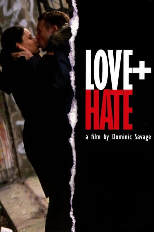 Poster Love + Hate 2005