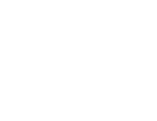 Cake Toppers