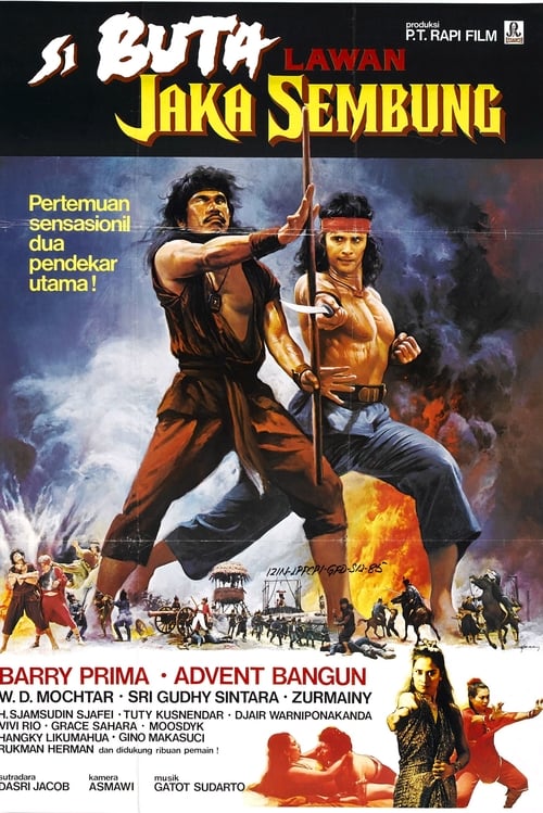 The Warrior and the Blind Swordsman 1983