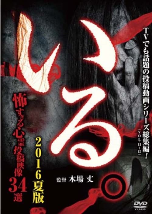 「いる。」(Vol.11~15) 総集編 2016夏版 怖すぎる心霊投稿映像34選