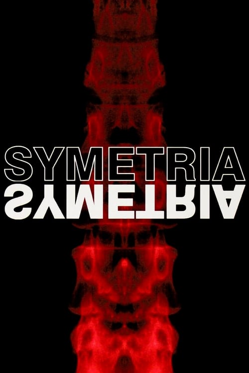 Poster Symetria 2003