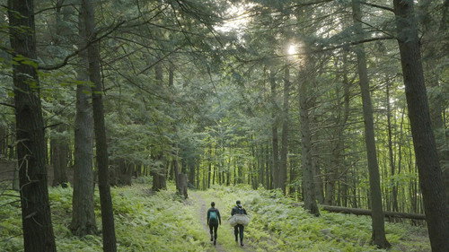 Climat déréglé, santé en danger