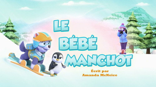 Le bébé manchot