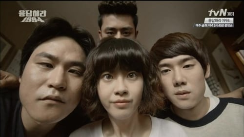 Poster della serie Reply 1994