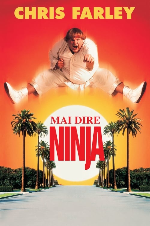 Beverly Hills Ninja poster