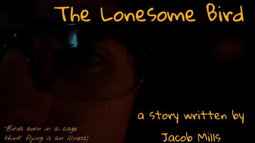 The Lonesome Bird Backdrop Blur