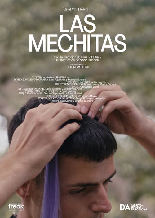 Poster Las mechitas 2023