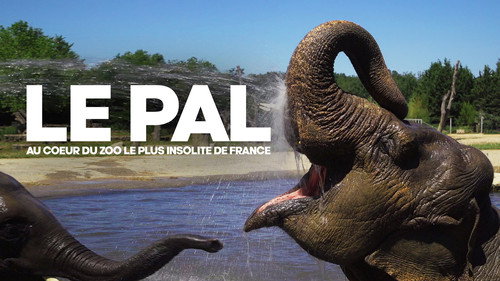 Le Pal : au coeur du zoo le plus insolite de France Backdrop Blur